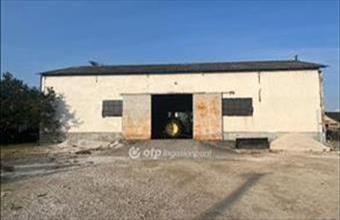 Eladó Sáskai egyéb ipari ingatlan hirdetés (54828784)