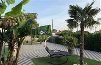 Eladó Kecskeméti családi ház hirdetés (23923792)