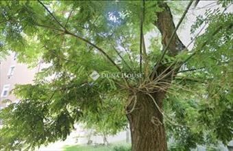 Eladó Budapest XI. kerületi csúsztatott zsalus lakás hirdetés (98343182)