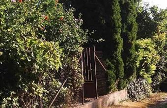 Eladó Rácalmási egyéb telek hirdetés (19963847)