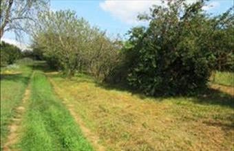 Eladó Szomódi egyéb mezőgazdasági ingatlan hirdetés (72784849)