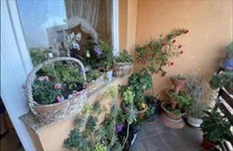 Eladó Kecskeméti panel lakás hirdetés (71752349)