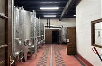 Eladó Szekszárdi egyéb mezőgazdasági ingatlan hirdetés (75391919)