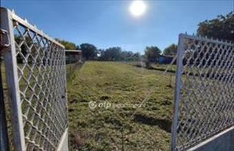 Eladó Tóalmási üdülőövezeti telek hirdetés (84957185)