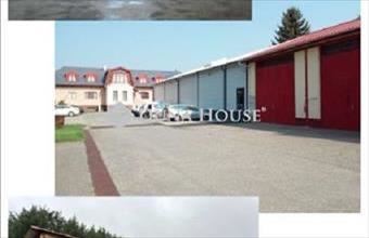 Eladó Nyíregyházai pince, présház hirdetés (99422434)