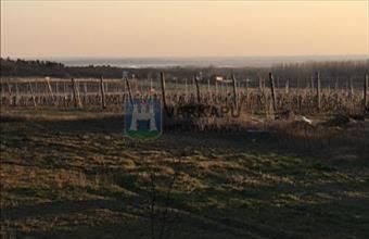 Eladó Sukorói egyéb telek hirdetés (73646143)