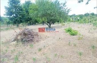 Eladó Jászberényi egyéb telek hirdetés (73637419)