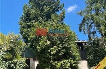 Eladó Váci hétvégi ház hirdetés (54981887)