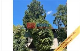 Eladó Váci hétvégi ház hirdetés (54981887)