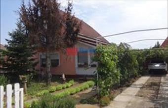 Eladó Tiszakécskei hétvégi ház hirdetés (58539973)