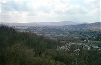 Eladó Pomázi külterületi telek hirdetés (37832441)