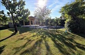 Eladó Sződligeti családi ház hirdetés (27993436)