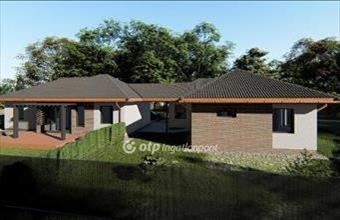 Eladó Albertirsai ikerház hirdetés (39275344)