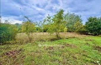 Eladó Monorierdői üdülőövezeti telek hirdetés (38995145)