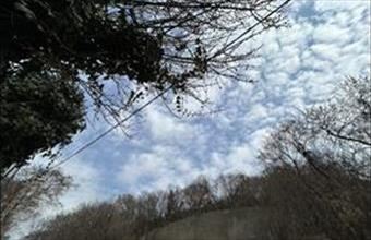 Eladó Budapest XI. kerületi tégla lakás hirdetés (93914861)