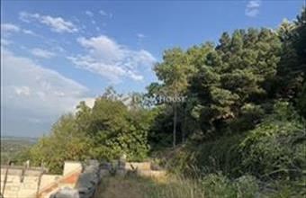 Eladó Szentendrei családi ház hirdetés (23452728)