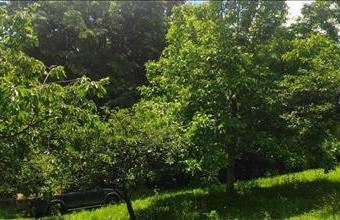 Eladó Kaposvári lakóövezeti telek hirdetés (33588391)