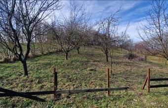 Eladó Zselickislaki lakóövezeti telek hirdetés (46535961)