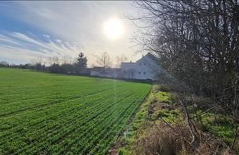 Eladó Kaposvári lakóövezeti telek hirdetés (95429377)