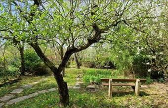 Eladó Kaposvári lakóövezeti telek hirdetés (33532172)