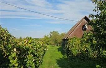 Eladó Kisasszondi lakóövezeti telek hirdetés (38642645)