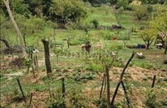 Eladó Kaposvári családi ház hirdetés (44437361)