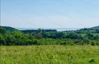 Eladó Dörgicsei egyéb mezőgazdasági ingatlan hirdetés (97352343)