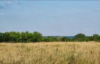 Eladó Balatonalmádi külterületi telek hirdetés (39432657)