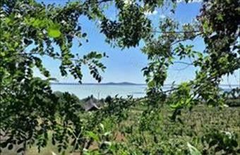 Eladó Badacsonytomaji egyéb mezőgazdasági ingatlan hirdetés (78926227)