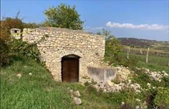 Eladó Balatonszőlősi pince, présház hirdetés (47924277)