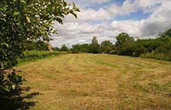 Eladó Balatonfőkajári egyéb mezőgazdasági ingatlan hirdetés (25777737)