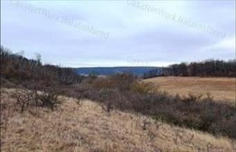 Eladó Balatonalmádi egyéb mezőgazdasági ingatlan hirdetés (79172224)