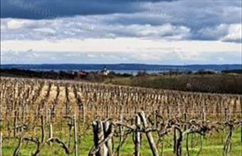 Eladó Zánkai egyéb mezőgazdasági ingatlan hirdetés (37739923)