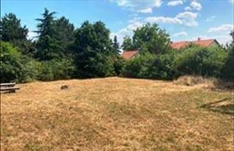 Eladó Zánkai lakóövezeti telek hirdetés (54443577)