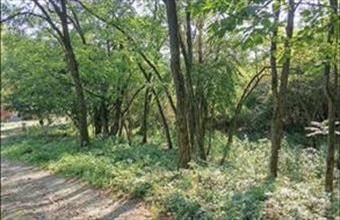 Eladó Zebegényi egyéb mezőgazdasági ingatlan hirdetés (85539363)