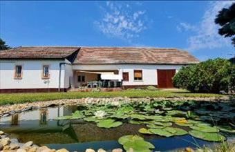 Eladó Kiskőrösi családi ház hirdetés (49533957)