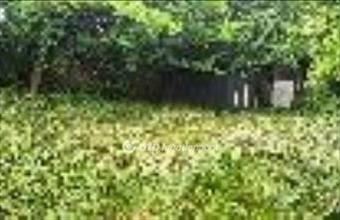 Eladó Kaposvári külterületi telek hirdetés (46293431)