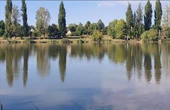 Eladó Dányi hétvégi ház hirdetés (64953357)