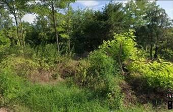 Eladó Ordacsehi lakóövezeti telek hirdetés (69739323)