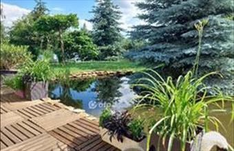 Eladó Nagykállói családi ház hirdetés (74733233)