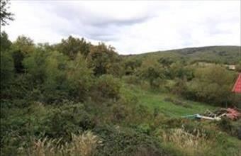 Eladó Vizslási családi ház hirdetés (13873743)