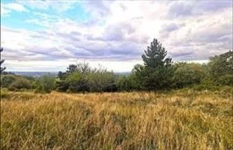 Eladó Váci egyéb telek hirdetés (58743766)