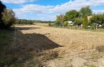 Eladó Szajoli lakóövezeti telek hirdetés (35347649)