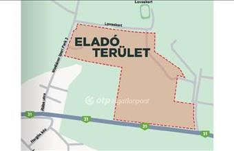 Eladó Maglódi külterületi telek hirdetés (29694243)
