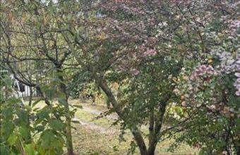 Eladó Harkányi hétvégi ház hirdetés (64746759)