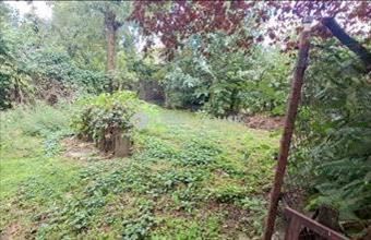 Eladó Halászteleki ikerház hirdetés (35973369)