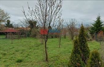 Eladó Zamárdi egyéb telek hirdetés (59824175)