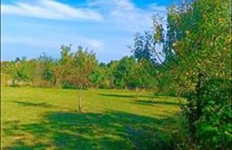 Eladó Nagykanizsai családi ház hirdetés (82744493)