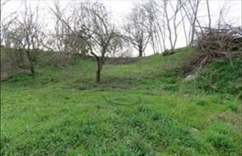 Eladó Bakonyszentkirályi családi ház hirdetés (33972889)