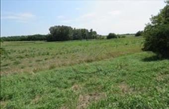 Eladó Győri ipari telek hirdetés (98554474)